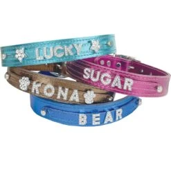 Customizable Metallic Leather Slider Collar 1″