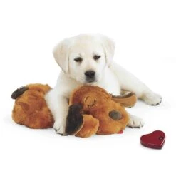 SNUGGLE PUPPY® Dog Calming Companion -UPCO Popular Shop Snuggle Puppy 2