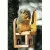 Wooden Squirrel Chair Feeder