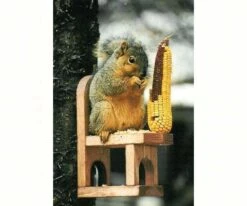 Wooden Squirrel Chair Feeder