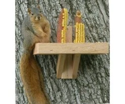 Simple Wooden Squirrel Feeder