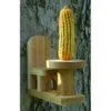 Wooden Squirrel Table & Chair Feeder -UPCO Popular Shop Squirrel Table Chair Feeder