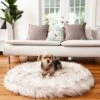 PupRug Mini Orthopedic Dog Bed White Fur W/ Brown Accents 2 PupRug Mini Orthopedic Dog Bed White Fur W/ Brown Accents -UPCO Popular Shop TAD1308