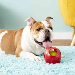 THE TEASER BALL®- Small 8″ -UPCO Popular Shop THE TEASER BALL 3