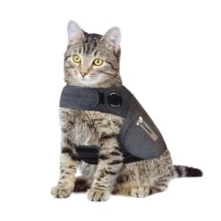 ThunderShirts For Cats-Medium -UPCO Popular Shop ThunderShirt for Cats Small 07572a2f 1382 433e 8169 276cc7d27d6b