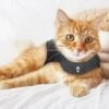 ThunderShirts For Cats-Medium
