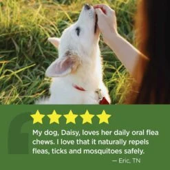 Vetality Naturals Oral Flea & Tick Chews For Dogs 120 Ct -UPCO Popular Shop Vet Nat Flea Tick Chews Dog INFO6