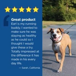 Vetality 10in1 Multi Well Chews For Dogs 60 Ct 12 Vetality 10in1 Multi Well Chews For Dogs 60 Ct -UPCO Popular Shop Vetality 10in1 Well Chews Testimonial