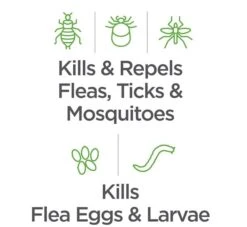 Vetality Naturals Flea & Tick Shampoo For Cats 8 Oz -UPCO Popular Shop Vetality Avantect II Flea Tick Shampoo INFO 1