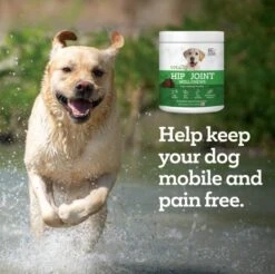 Vetality Hip & Joint Well Chews For Dogs 60 Ct 10 Vetality Hip & Joint Well Chews For Dogs 60 Ct -UPCO Popular Shop Vetality Hip Joint Well Chews INFO2