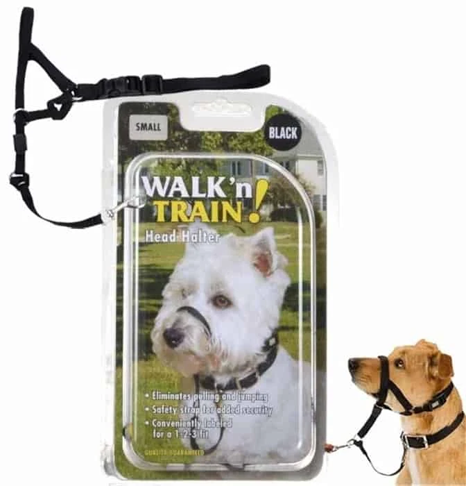 Coastal Walk N Train Head Halter For Dogs 6 Coastal Walk N Train Head Halter For Dogs - Image 4