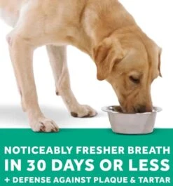 Tropiclean Fresh Breath Oral Care Water Additive Plus Digestive Support 16 Oz -UPCO Popular Shop Water Add INFO3