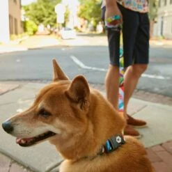 WOLFGANG Street Art Dog Collar -UPCO Popular Shop Web StreetArt Alt2