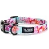 Wolfgang DigiFloral Light Blue, Purple & Pink Dog Collar 1 Wolfgang DigiFloral Light Blue, Purple & Pink Dog Collar -UPCO Popular Shop Wolfgang DigiFloral Dog Collar