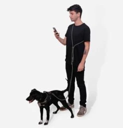 Zee Dog Hands Free Dog Leash Titanium Grey -UPCO Popular Shop ZeeDog Hands Free Leash Titanium Gray 3