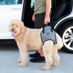 ZippyPaws Support Lift Harness For Dogs