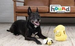 UPCO Popular Shop -UPCO Popular Shop b7e231d1 4158 44ea ae95 ce9e5b9b6eda.