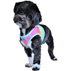 Doggie Design Beach Party Ombre Dog Harness Medium 6 Doggie Design Beach Party Ombre Dog Harness Medium -UPCO Popular Shop beach party info 1
