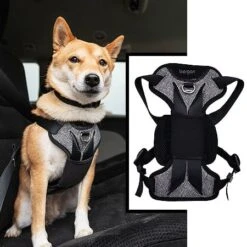 Bergan Auto Harness Seat Belt For Dogs