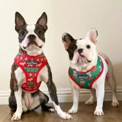 Beast & Buckle Reversible Christmas Print Dog Harness -UPCO Popular Shop christmas reversible dog harness 2