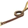 Deer Tan Leather Dog Leash -UPCO Popular Shop deer tan leather dog leash