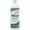 DVM Hylyt Shampoo – 16 Oz -UPCO Popular Shop dvm hylyt shampoo 16 oz 28 e1609949191940