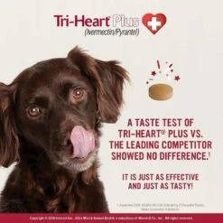 Tri-Heart® Plus Chewable Heartworm Tablets For Dogs Up To 25 Lbs 6 Pack -UPCO Popular Shop info 3 4
