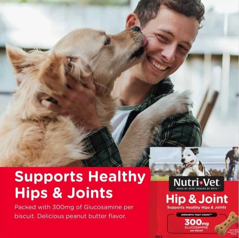 Nutri-Vet Hip & Joint Dog Biscuits LARGE 6 Lb 4 Nutri-Vet Hip & Joint Dog Biscuits LARGE 6 Lb - Image 2
