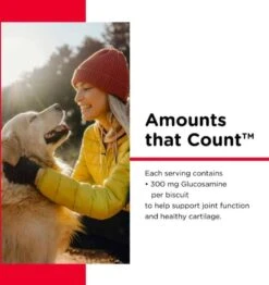 Nutri-Vet Hip & Joint Dog Biscuits LARGE 6 Lb 12 Nutri-Vet Hip & Joint Dog Biscuits LARGE 6 Lb -UPCO Popular Shop nutri Vet Hip Joint INFO2