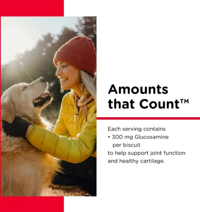 Nutri-Vet Hip & Joint Dog Biscuits LARGE 6 Lb 7 Nutri-Vet Hip & Joint Dog Biscuits LARGE 6 Lb - Image 5