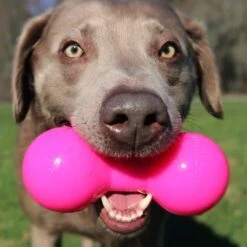 Ruff Dawg Assorted Big Dawg Dog Toy Small -UPCO Popular Shop opt BIGDAWG 3 51657