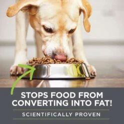 SlimPaws Weight Loss Soft Chews For Dogs 60 Ct -UPCO Popular Shop slim paws info 3