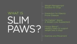 UPCO Popular Shop -UPCO Popular Shop slim paws info b