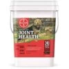 Bayer Synovi G3® Soft Chews Joint Supplement For Dogs 240 Ct