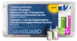 ZOETIS VANGUARD® PLUS 5 L4 CV 25×1 Dose