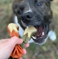 WHIMZEES Brushzees Dental Chews For Dogs Large 6 Ct -UPCO Popular Shop whimzees 2 3